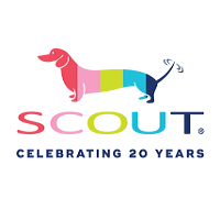Scout Alarm